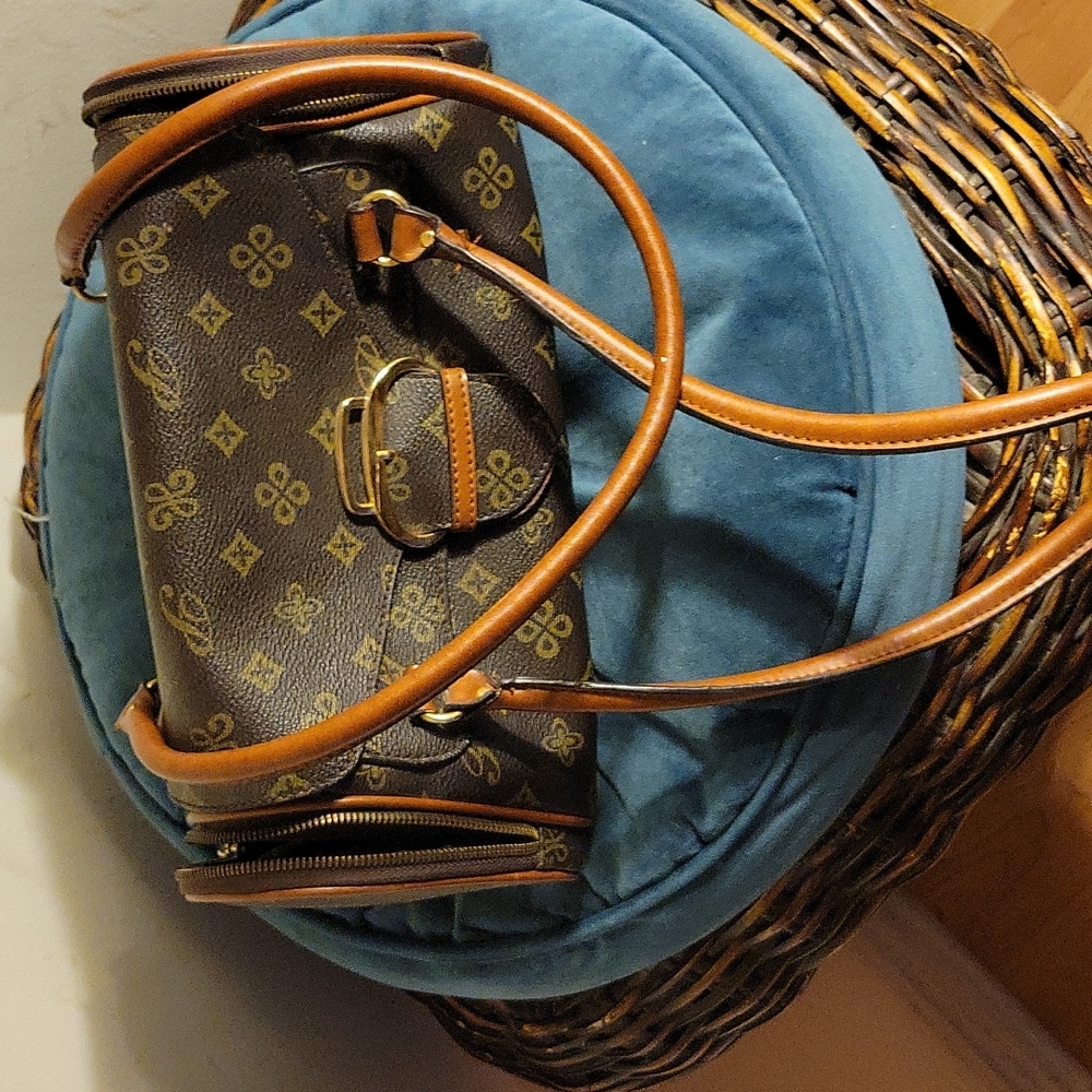Brown purse